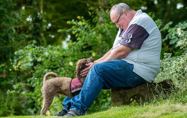 hearing dog1