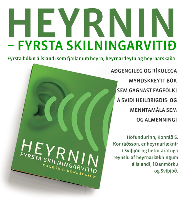 heyrnin-fyrsta-skilningarvitid